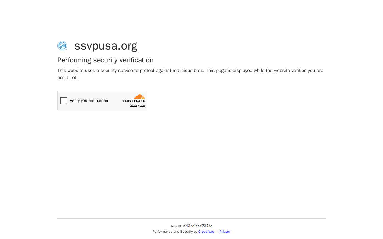 St Vincent De Paul Society website preview
