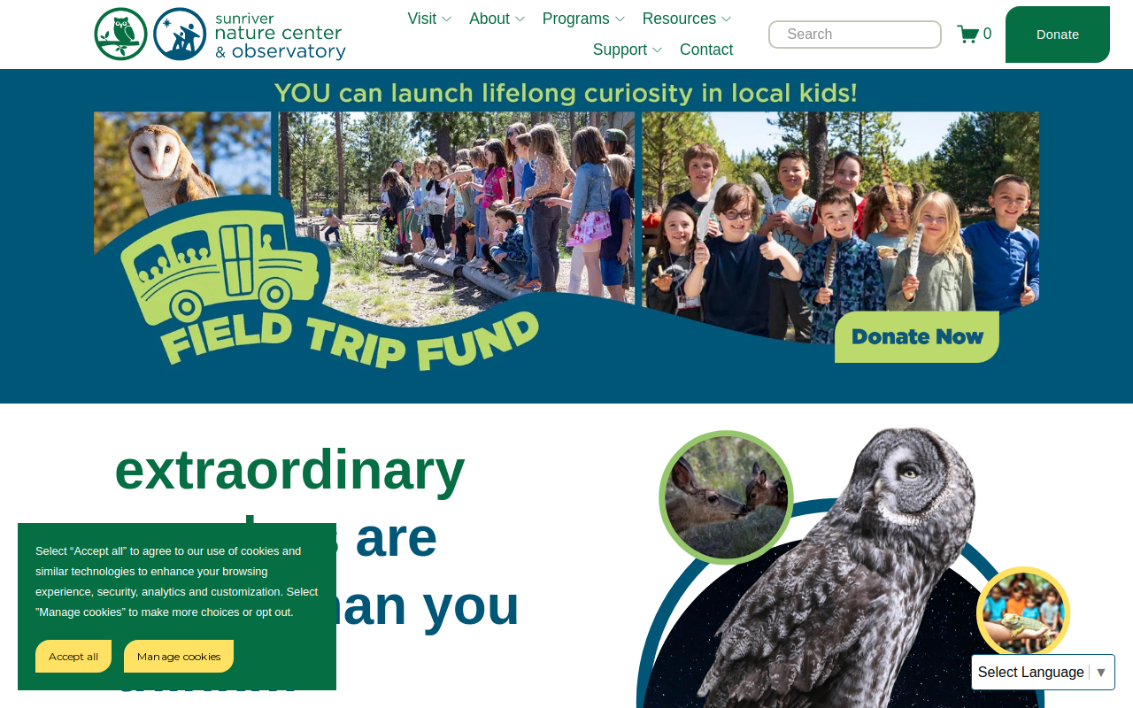 Second Tern Thrift Store website preview