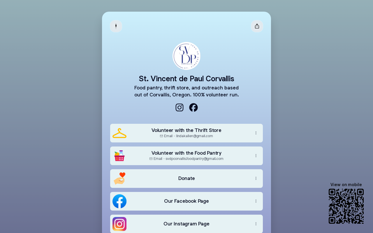 St. Vincent De Paul Thrift Store website preview