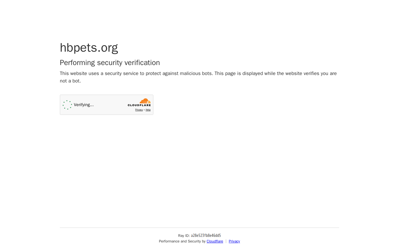 Homeward Bound Pets Humane Society Thrift Shop website preview