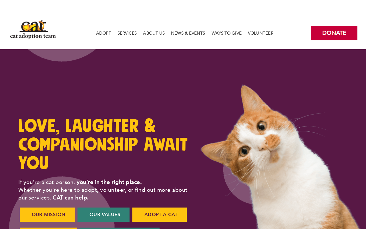 CAT Thrift Store website preview