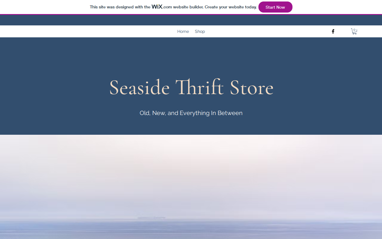 Seaside Thrift Store website preview