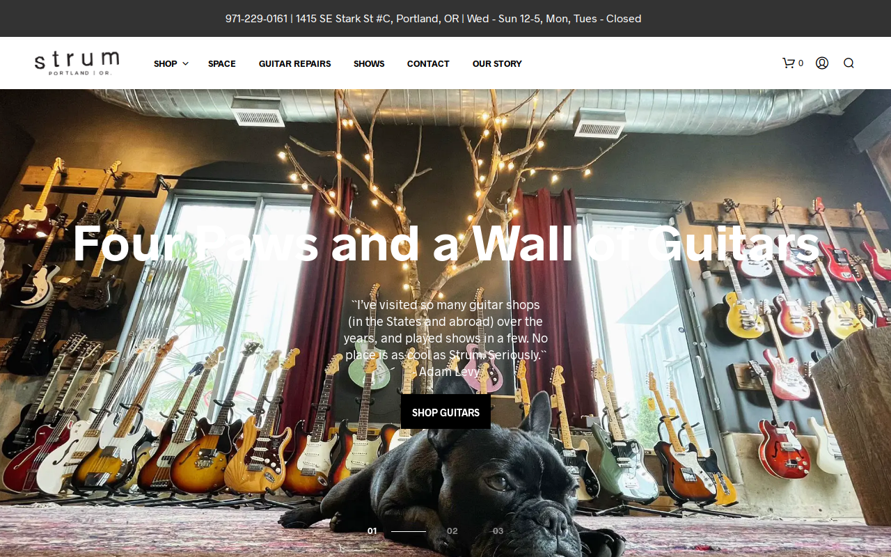 Strum website preview