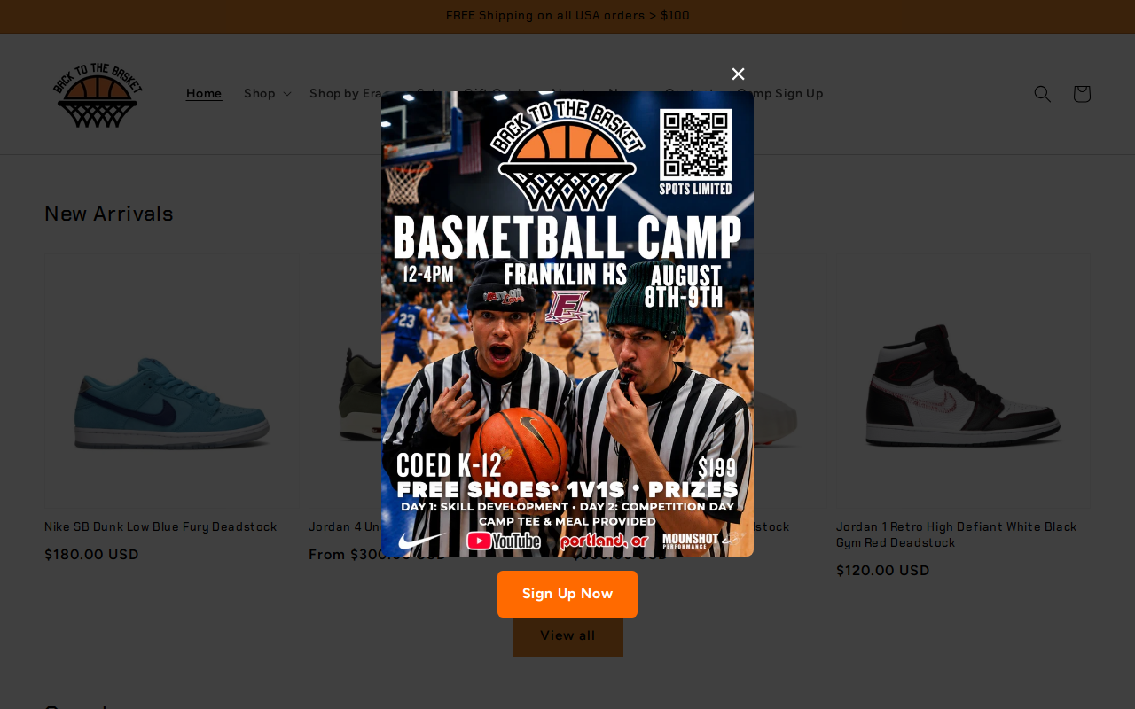 Back To The Basket website preview