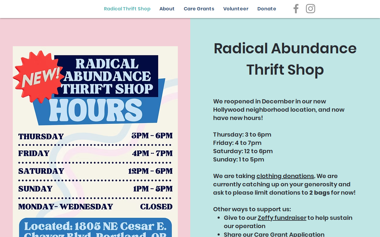 Radical Abundance Thrift Shop website preview