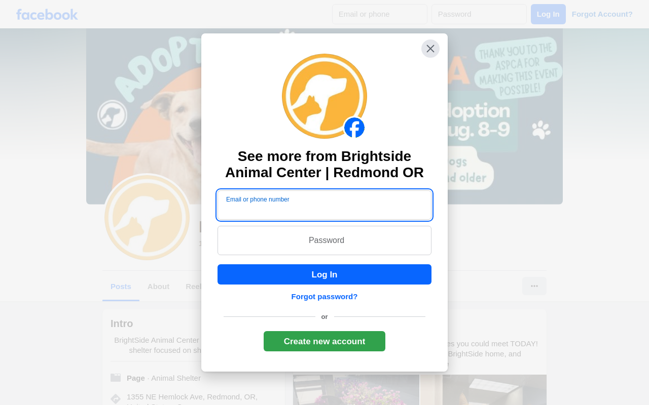 BrightSide Animal Center Thrift Store website preview