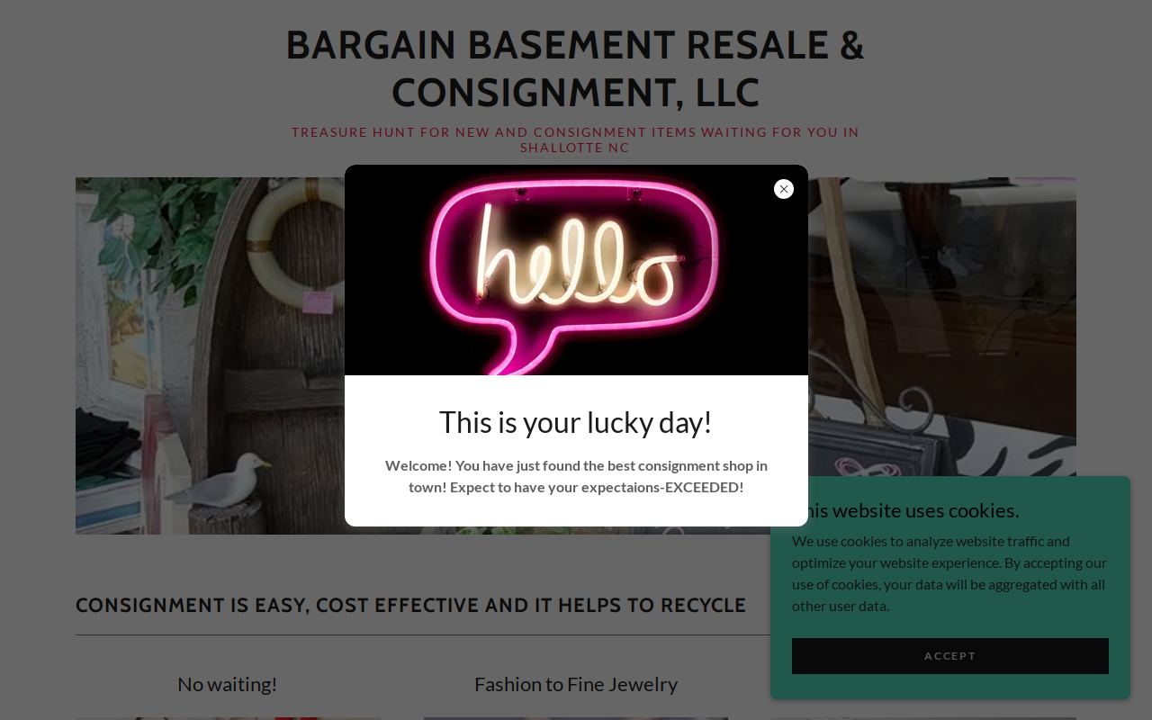 Bargain Basement Resale website preview
