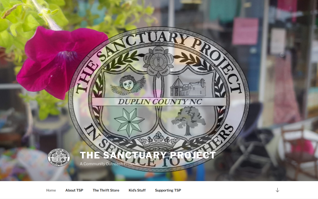 The Sanctuary Project website preview