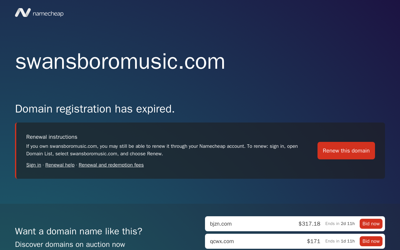 Swansboro Music and Pawn Etc website preview