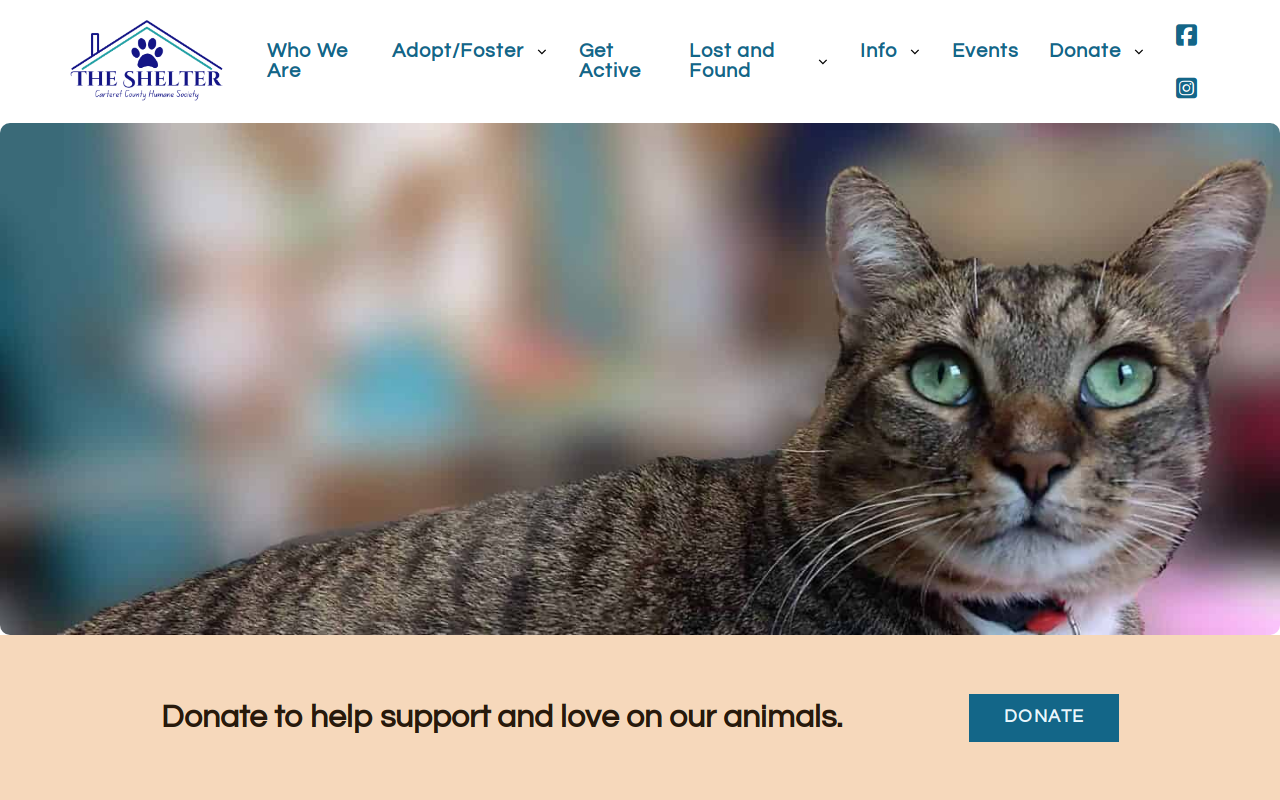 Carteret County Humane Society Thrift Shop website preview