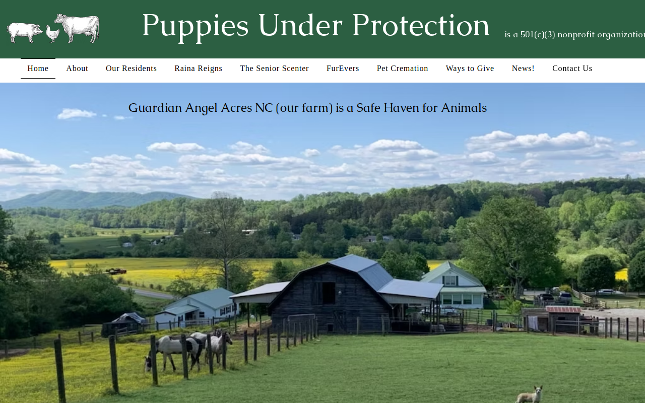 The Funny Farm Thrift Store website preview