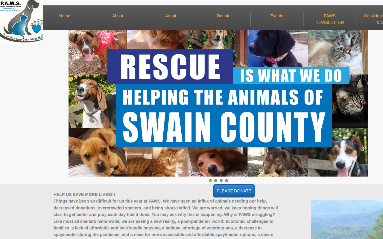 P.A.W.S. Thrift Shop website preview