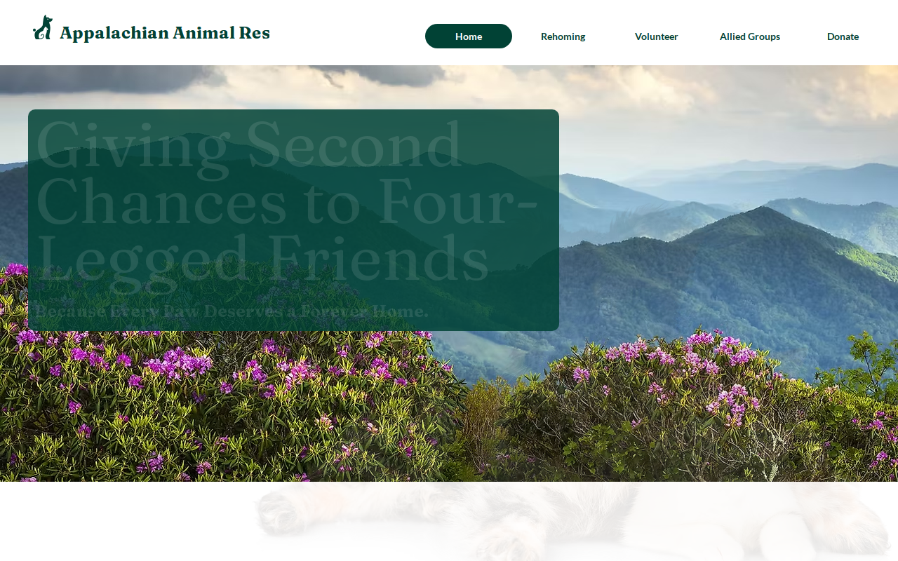 Aarc Thrift Shop website preview