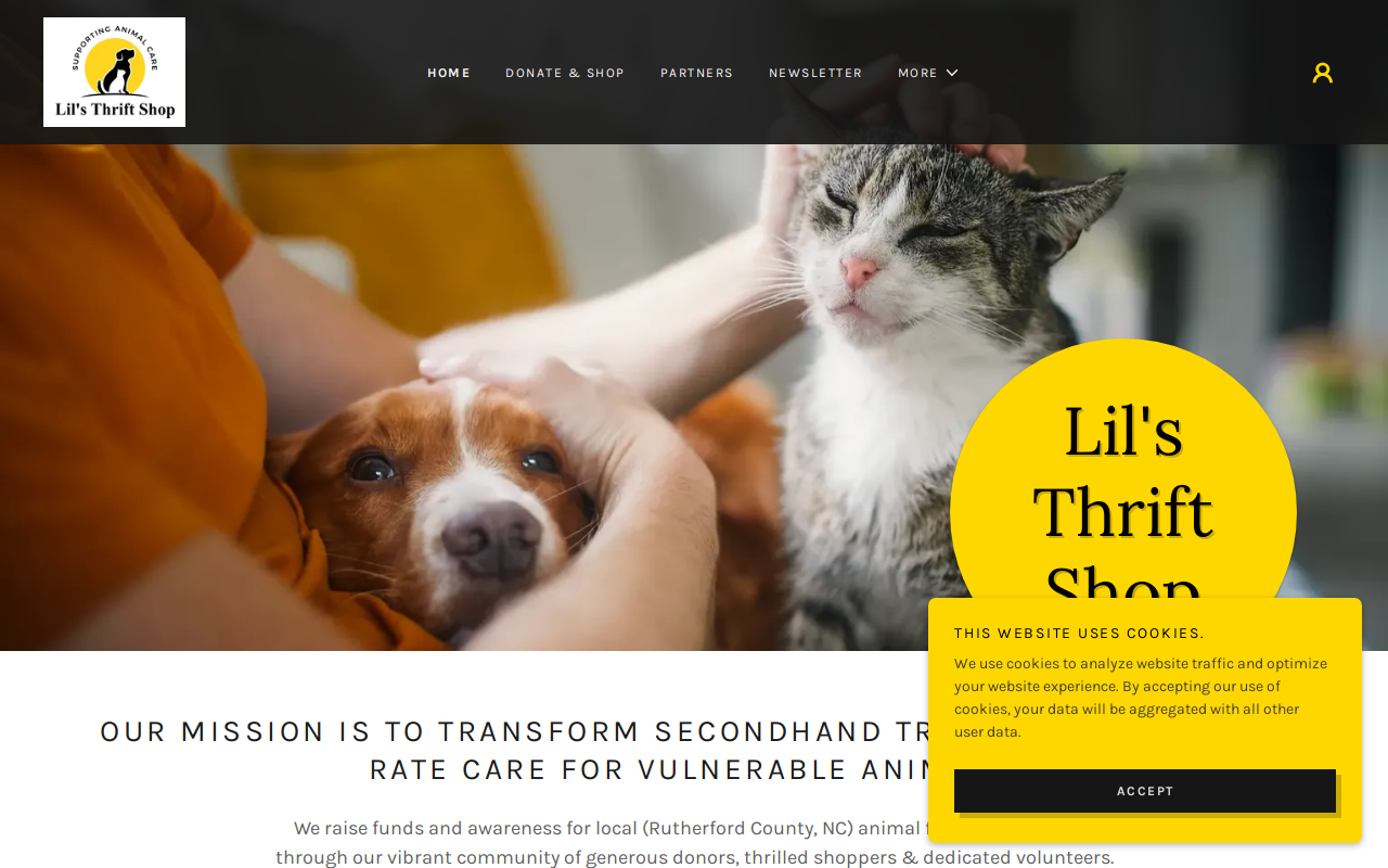 Lil's Thrift Shop website preview