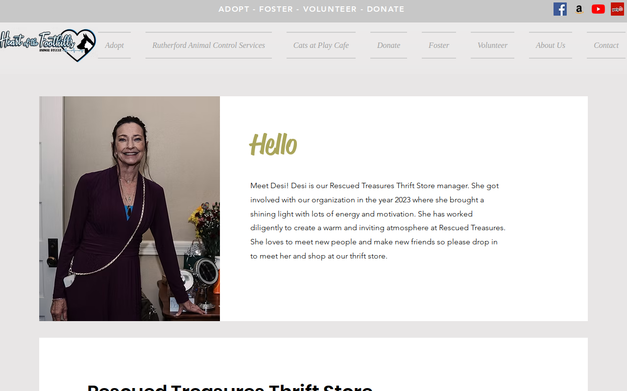 Rescued Treasures Thrift Store website preview