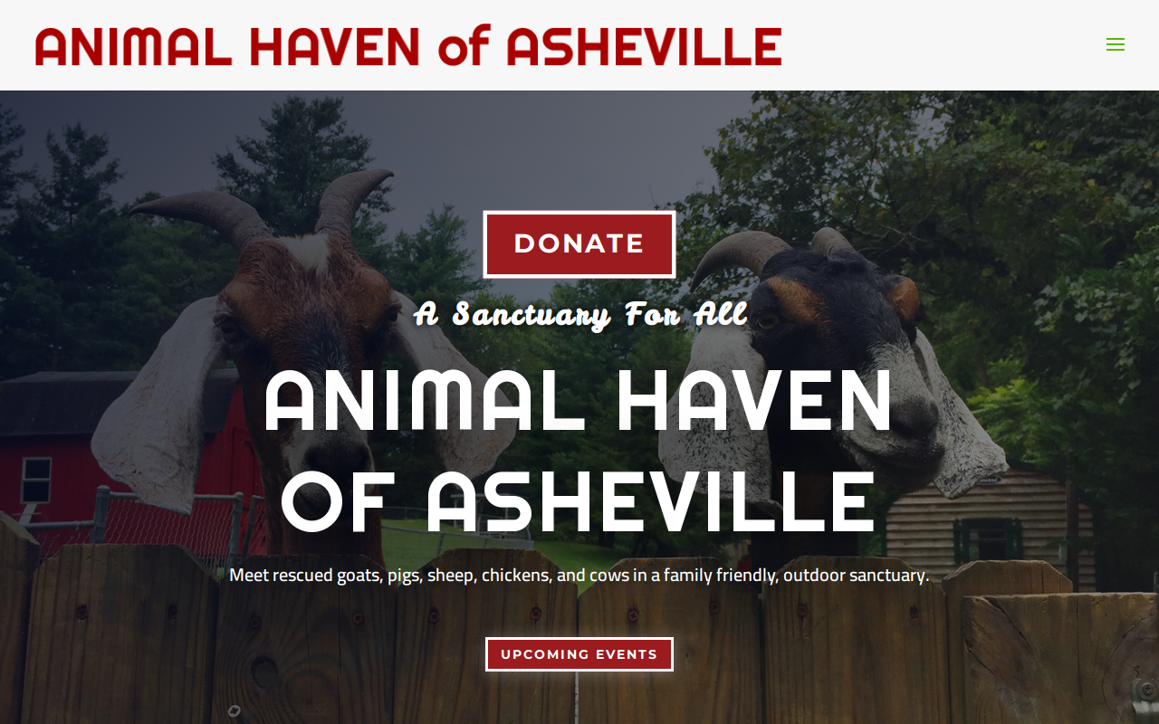 Thrift Store at Animal Haven website preview