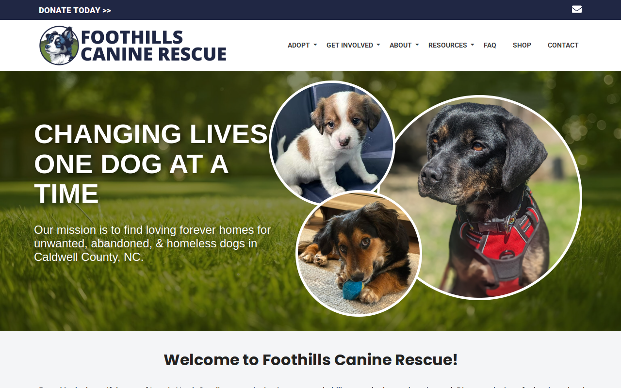 Waggin Tail Resale & Marketplace website preview