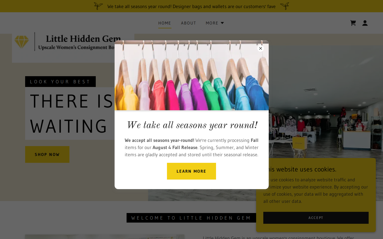 Little Hidden Gem website preview