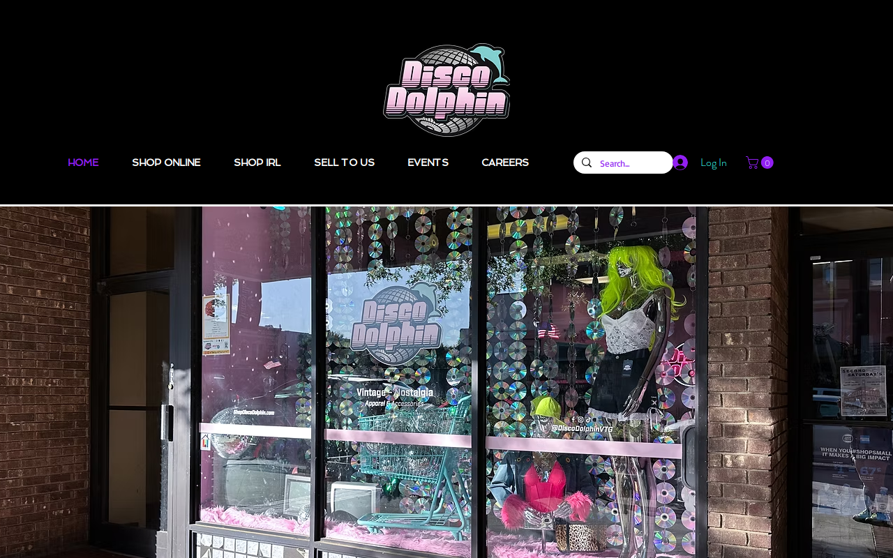 Disco Dolphin website preview