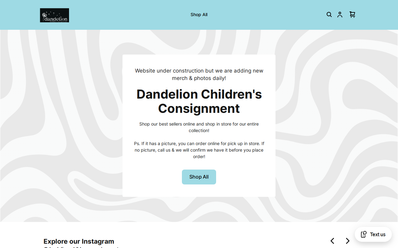 Dandelion Children's Consignment website preview