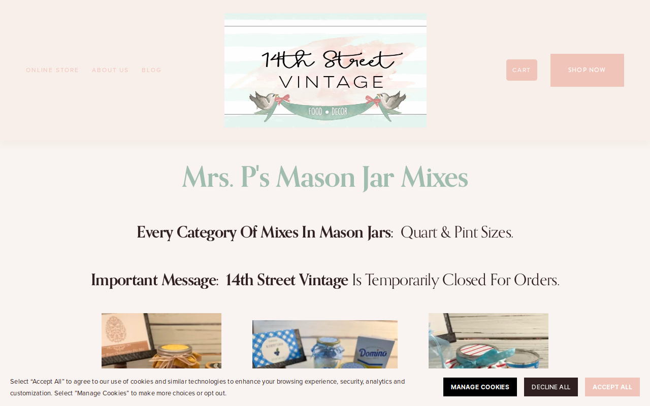 14th Street Vintage website preview