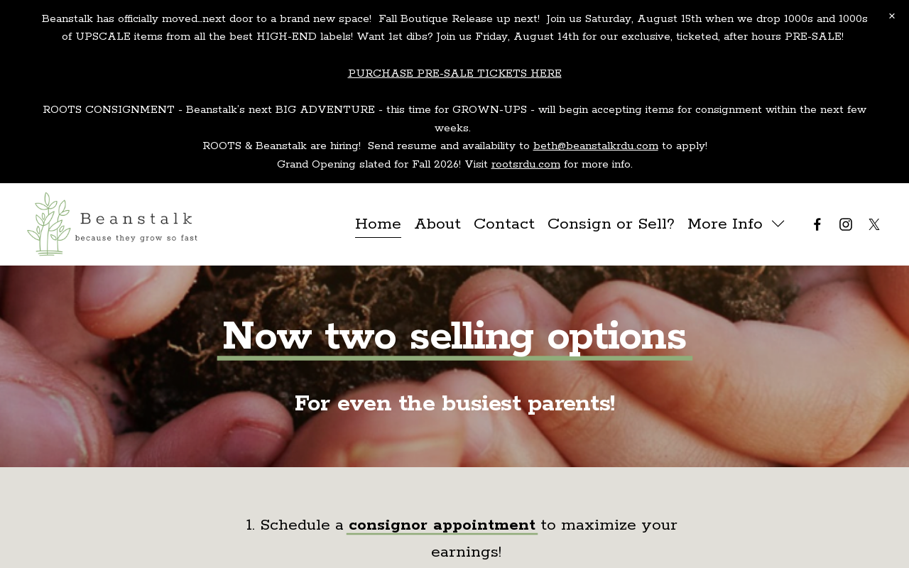 Beanstalk website preview