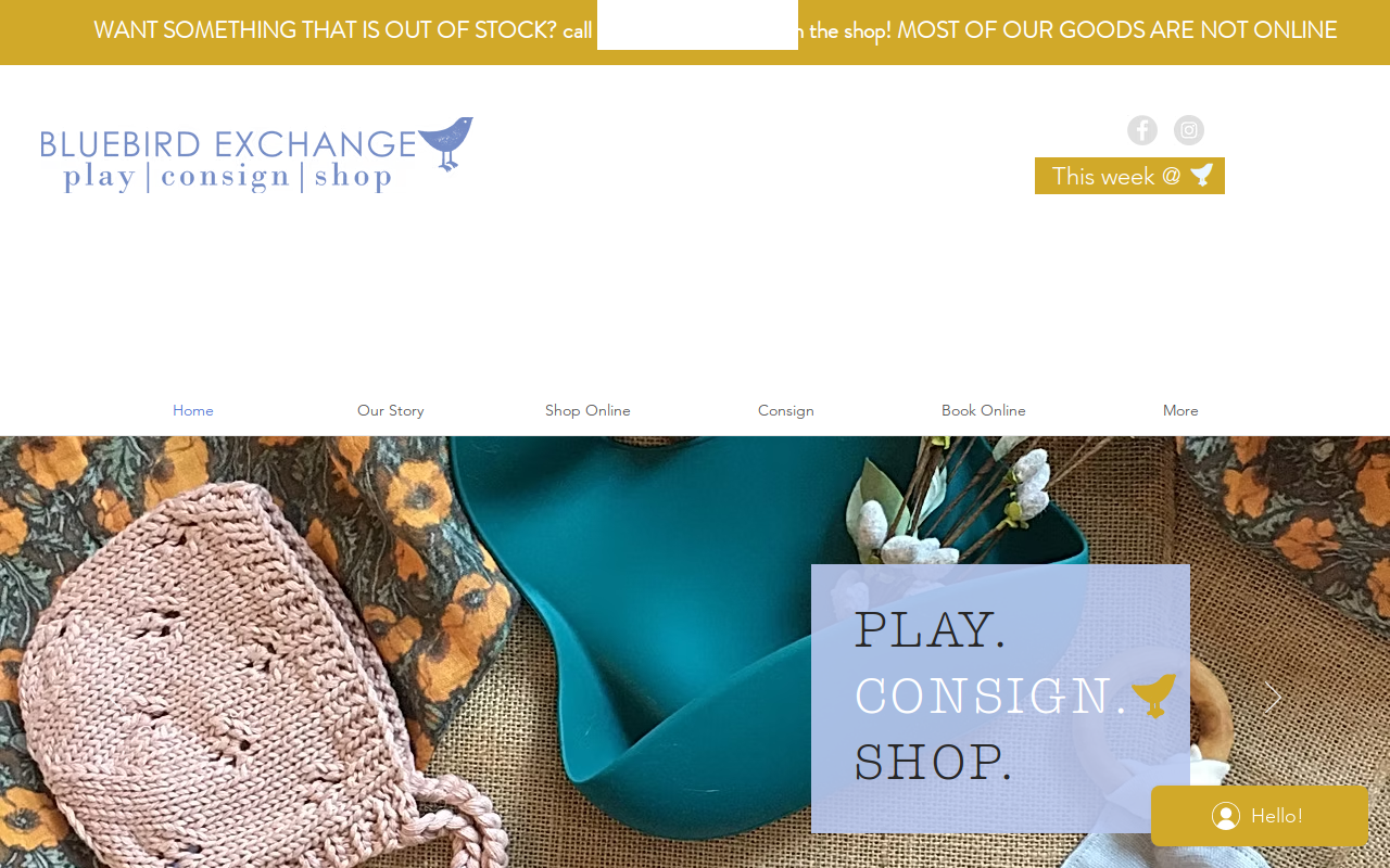 Bluebird Exchange website preview