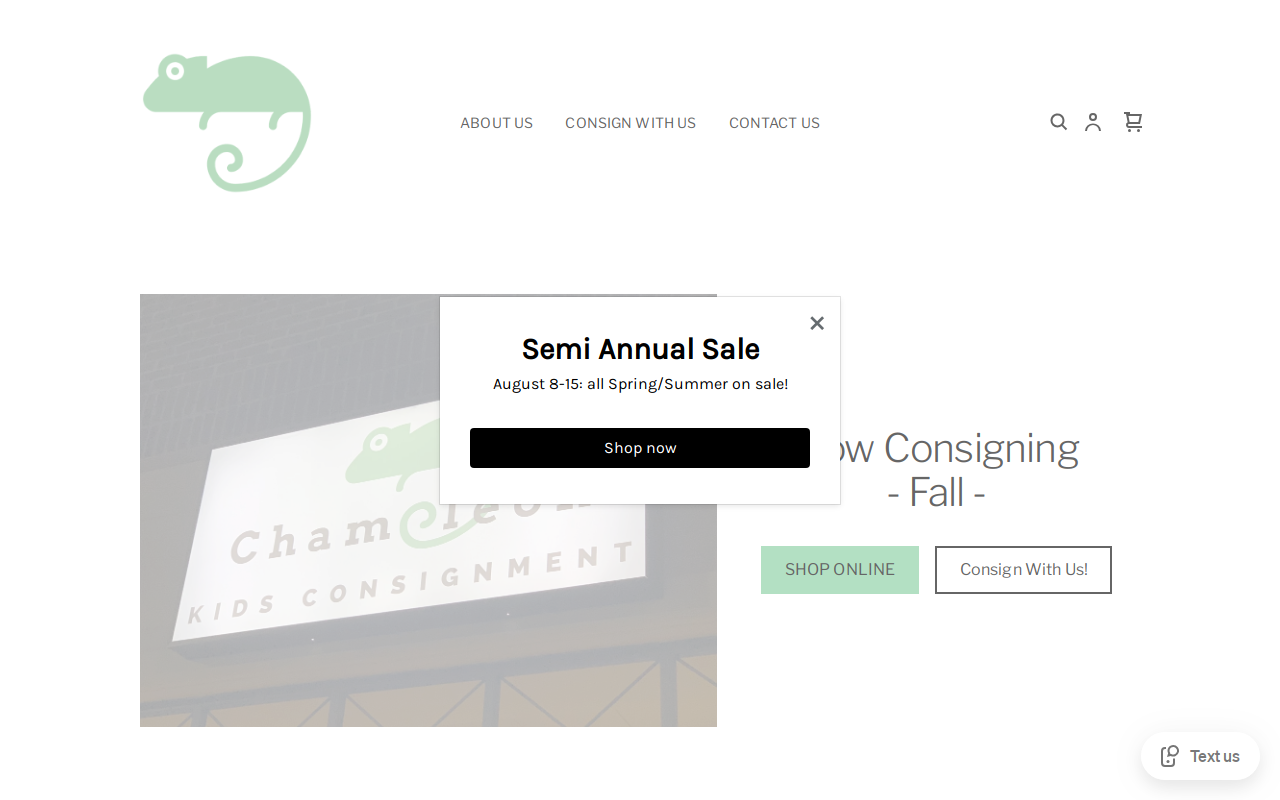 Chameleon Kids Consignment website preview