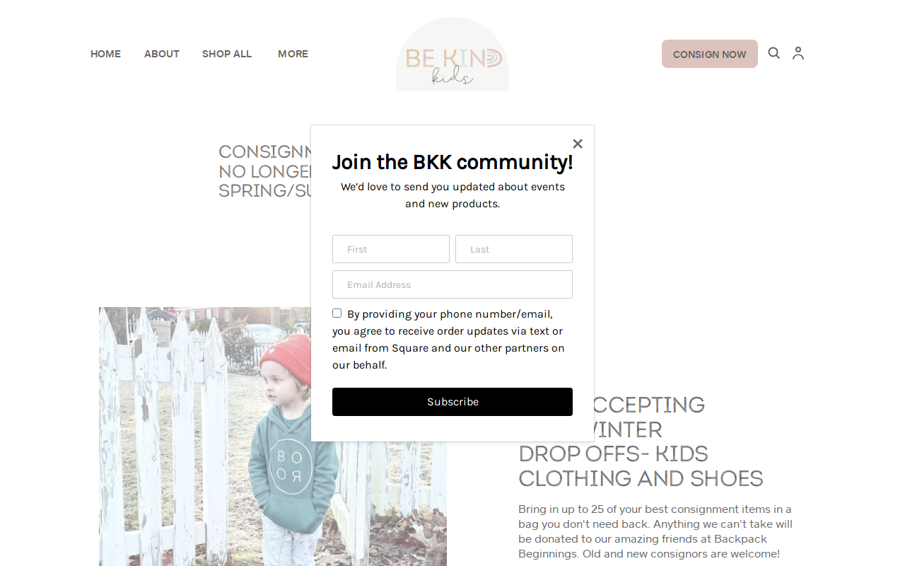 Be Kind Kids website preview