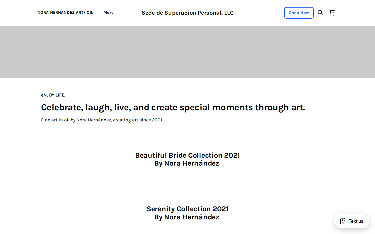 SSP website preview