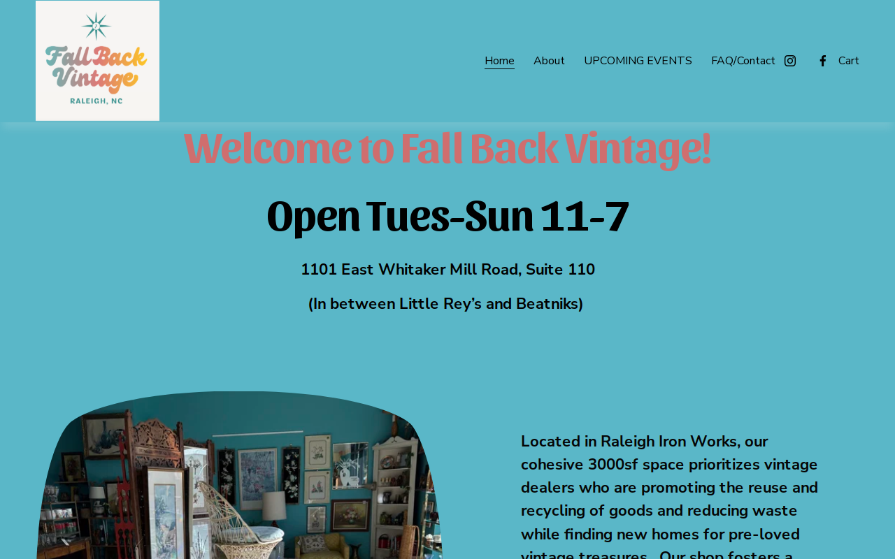 Fall Back Vintage website preview