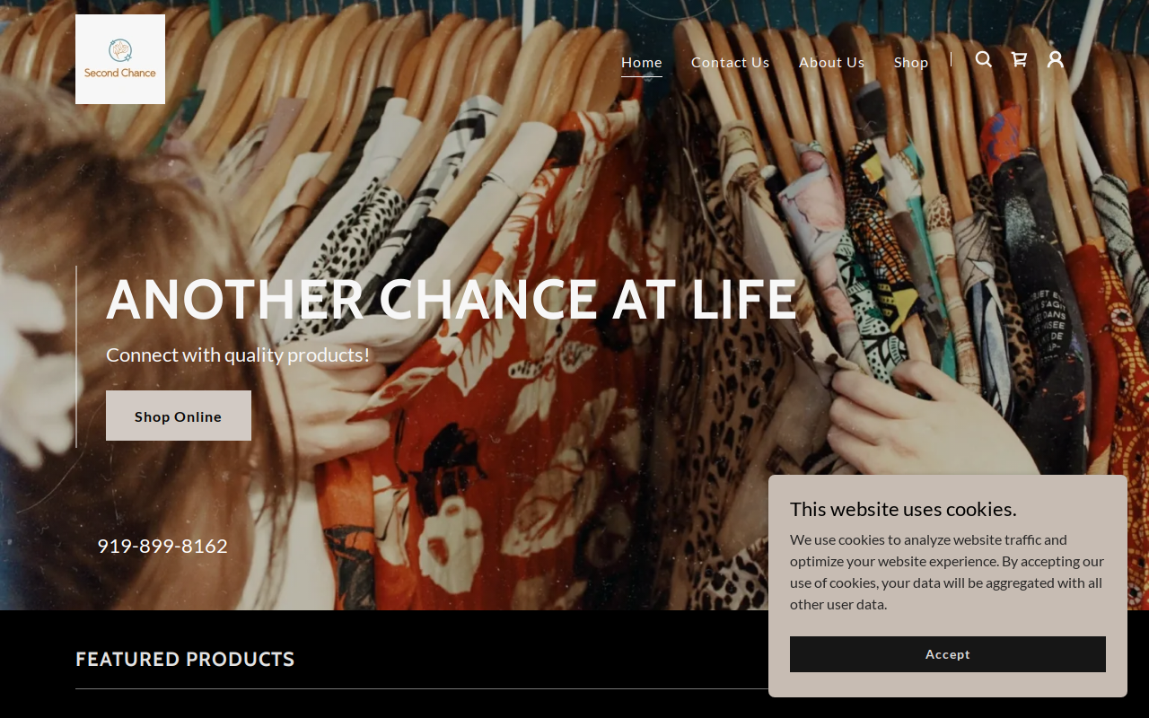 Second Chances website preview