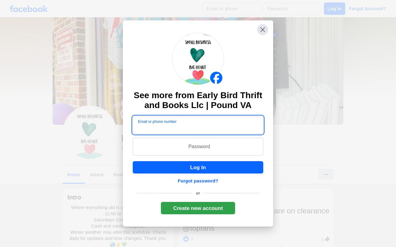 Early Bird Thrift and Books website preview
