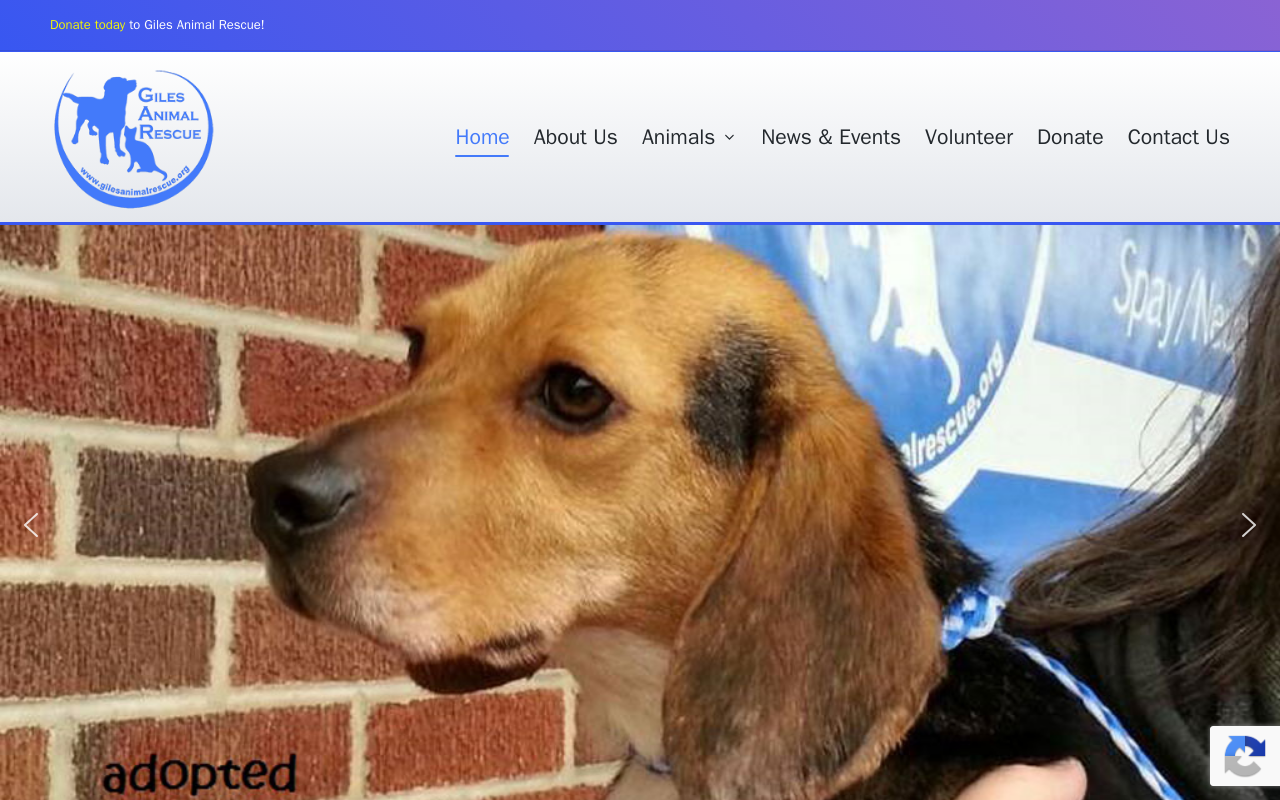 Giles Animal Rescue Thrift Shop And Adoption Center website preview