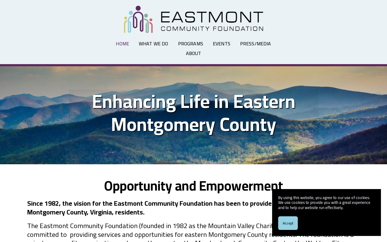 Eastmont Thrift Store website preview