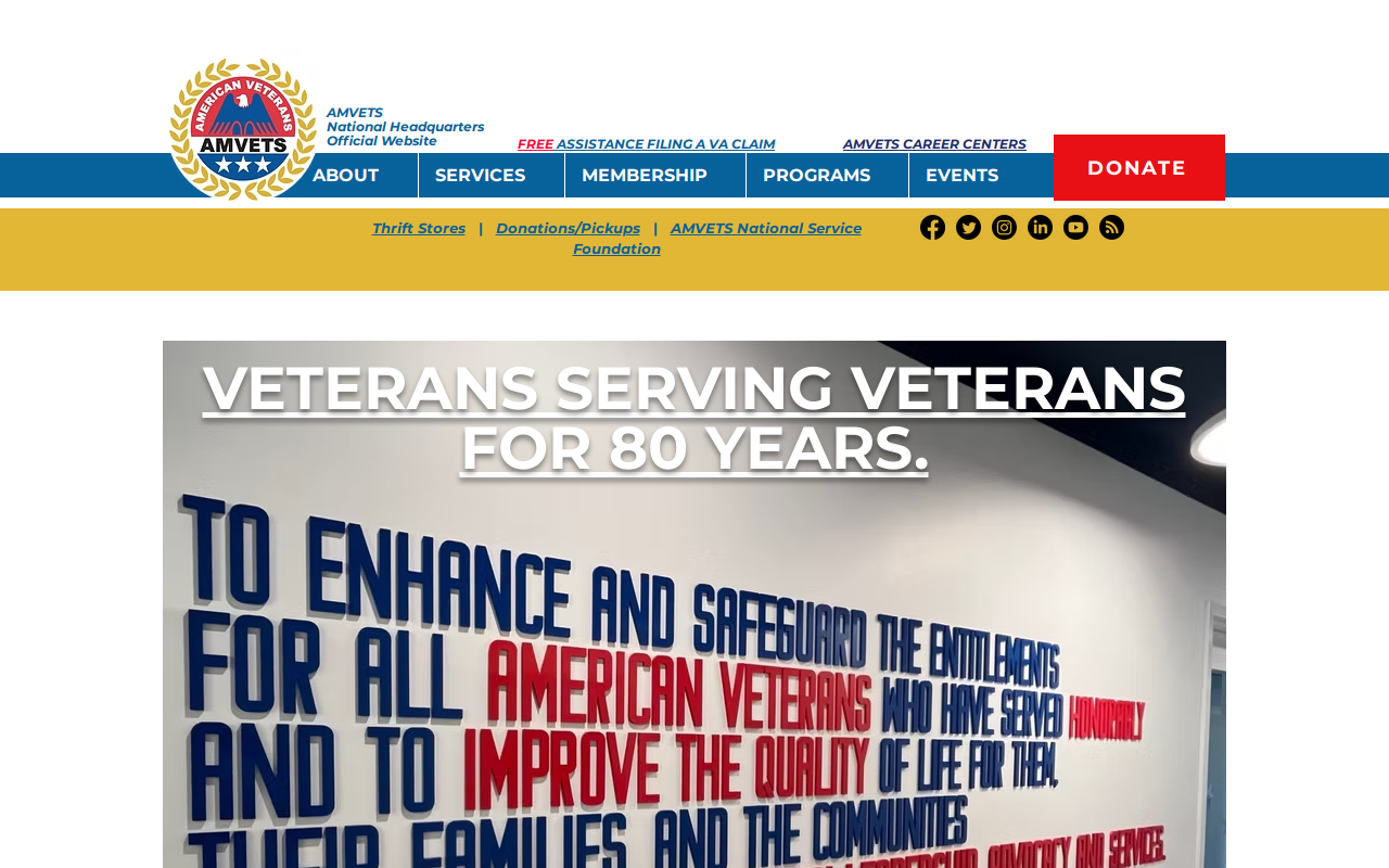 Amvets website preview