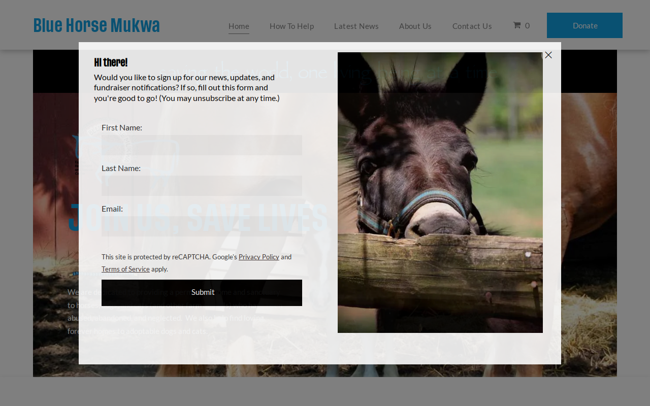 Blue Horse Mukwa Tack Shop website preview