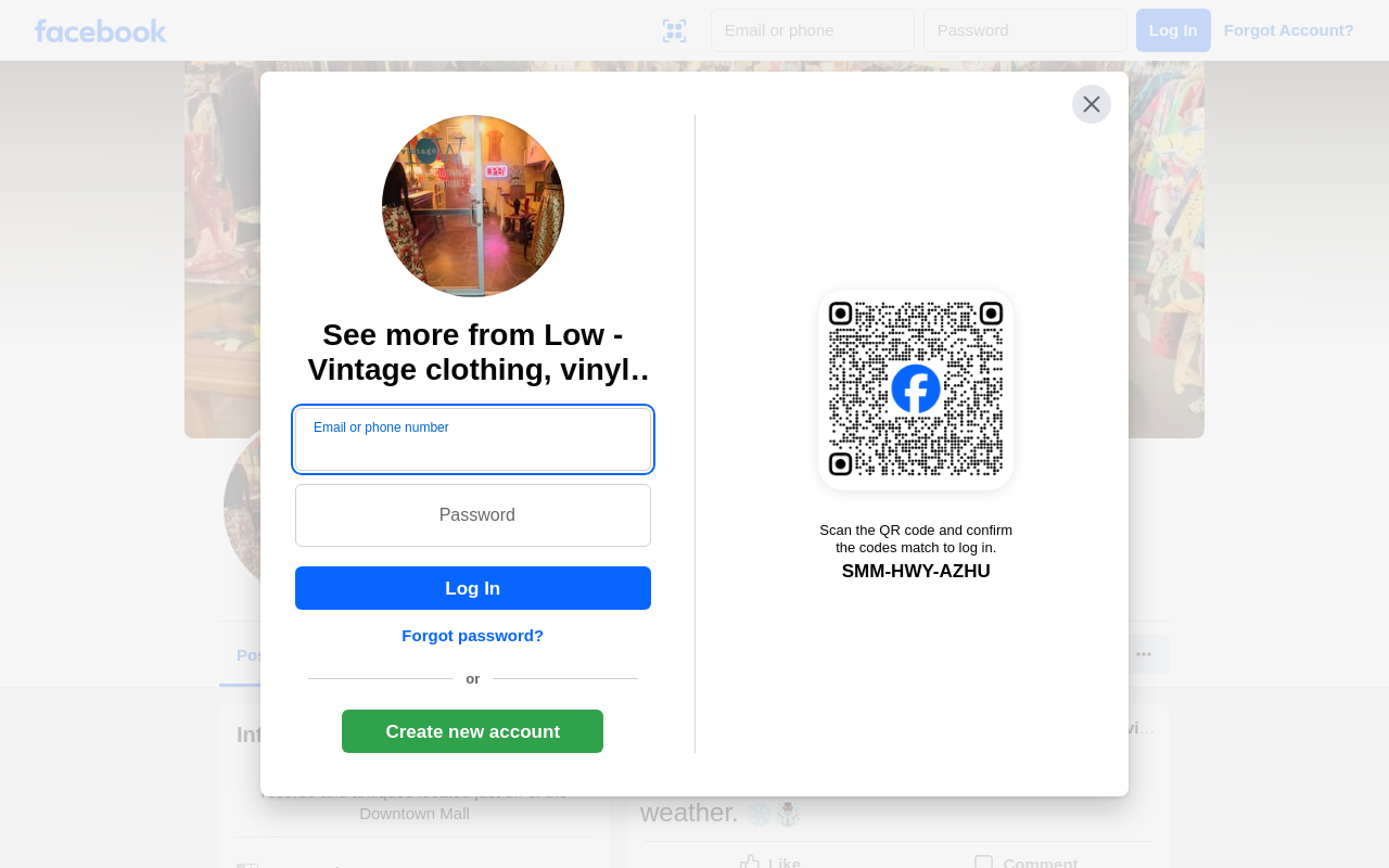 Low website preview