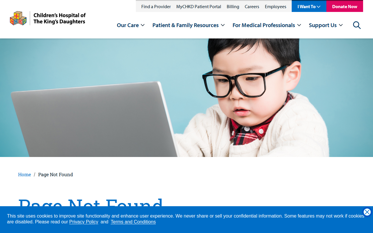 CHKD Thrift Stores website preview
