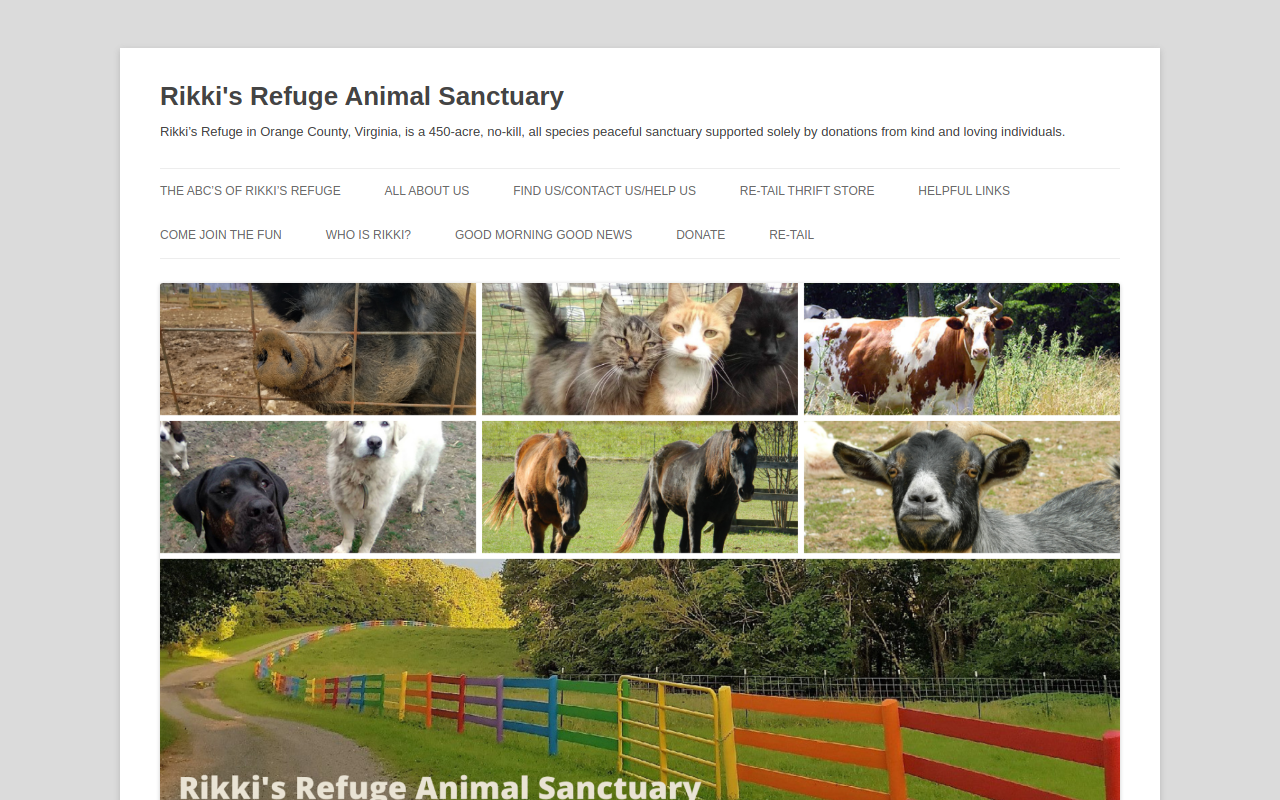 Re-Tail website preview