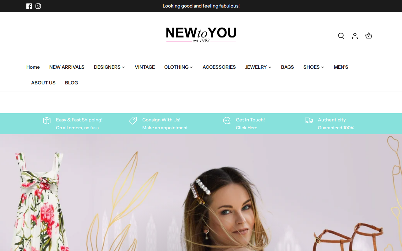 New To You website preview