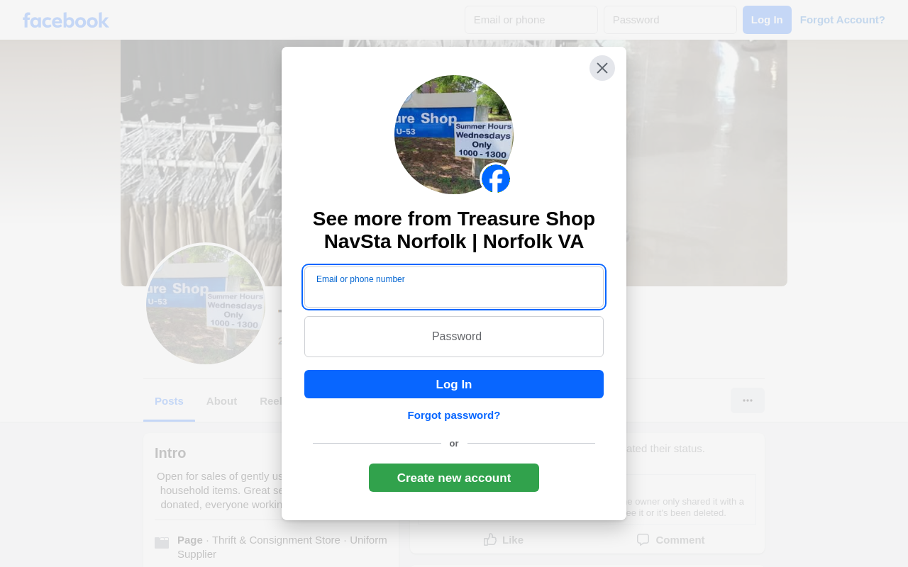 The Treasure Shop website preview