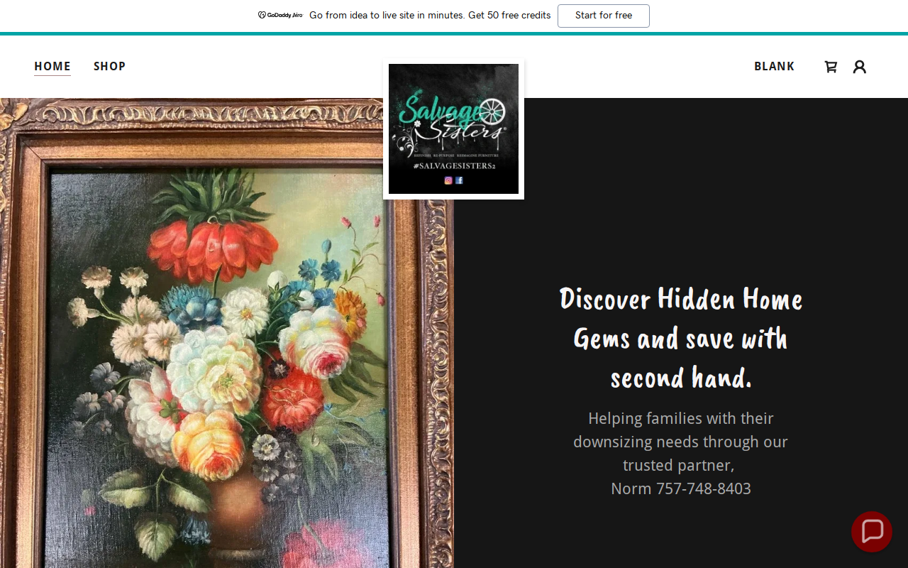 Salvage Sisters website preview