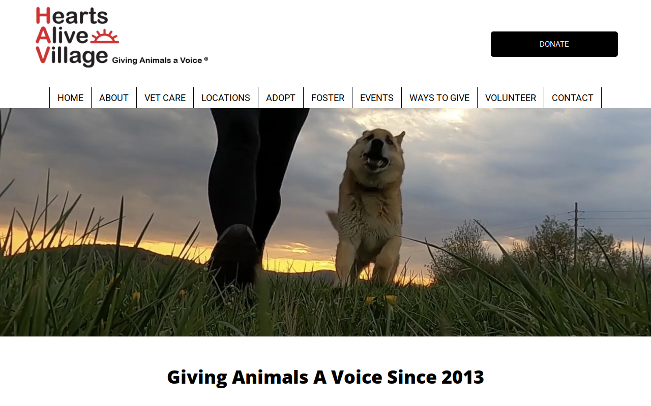Oldies But Goodies Senior Adoption Center And Second Hand Boutique website preview
