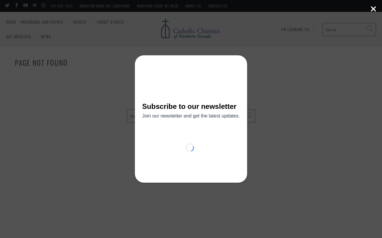 St. Vincent's Super Thrift website preview