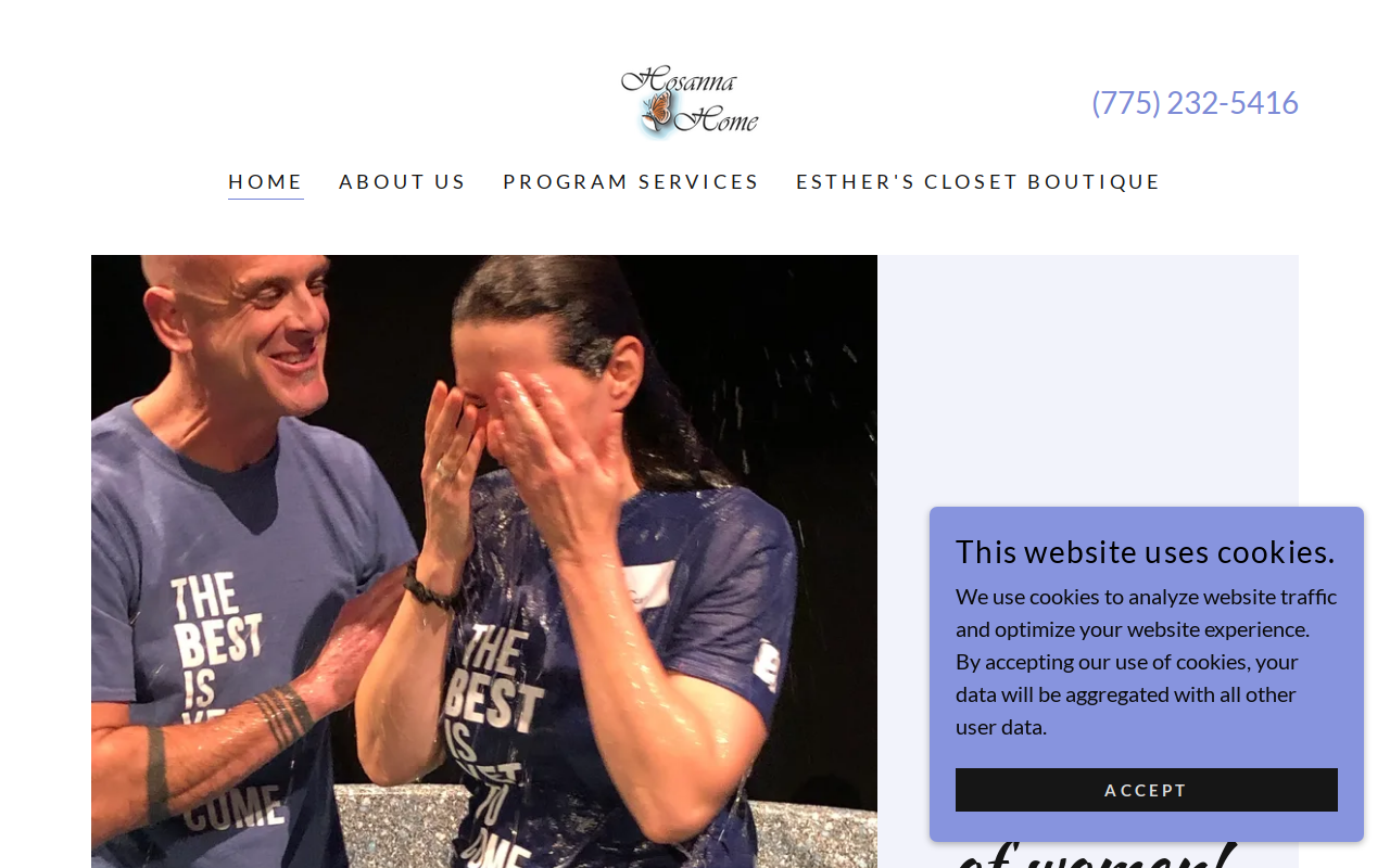 Esther's Closet in Support of Hosanna Home website preview