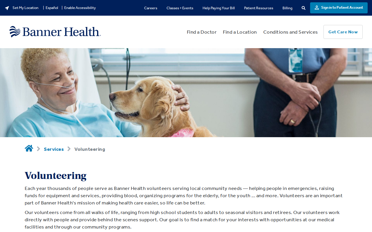 BCCH Auxiliary Store website preview