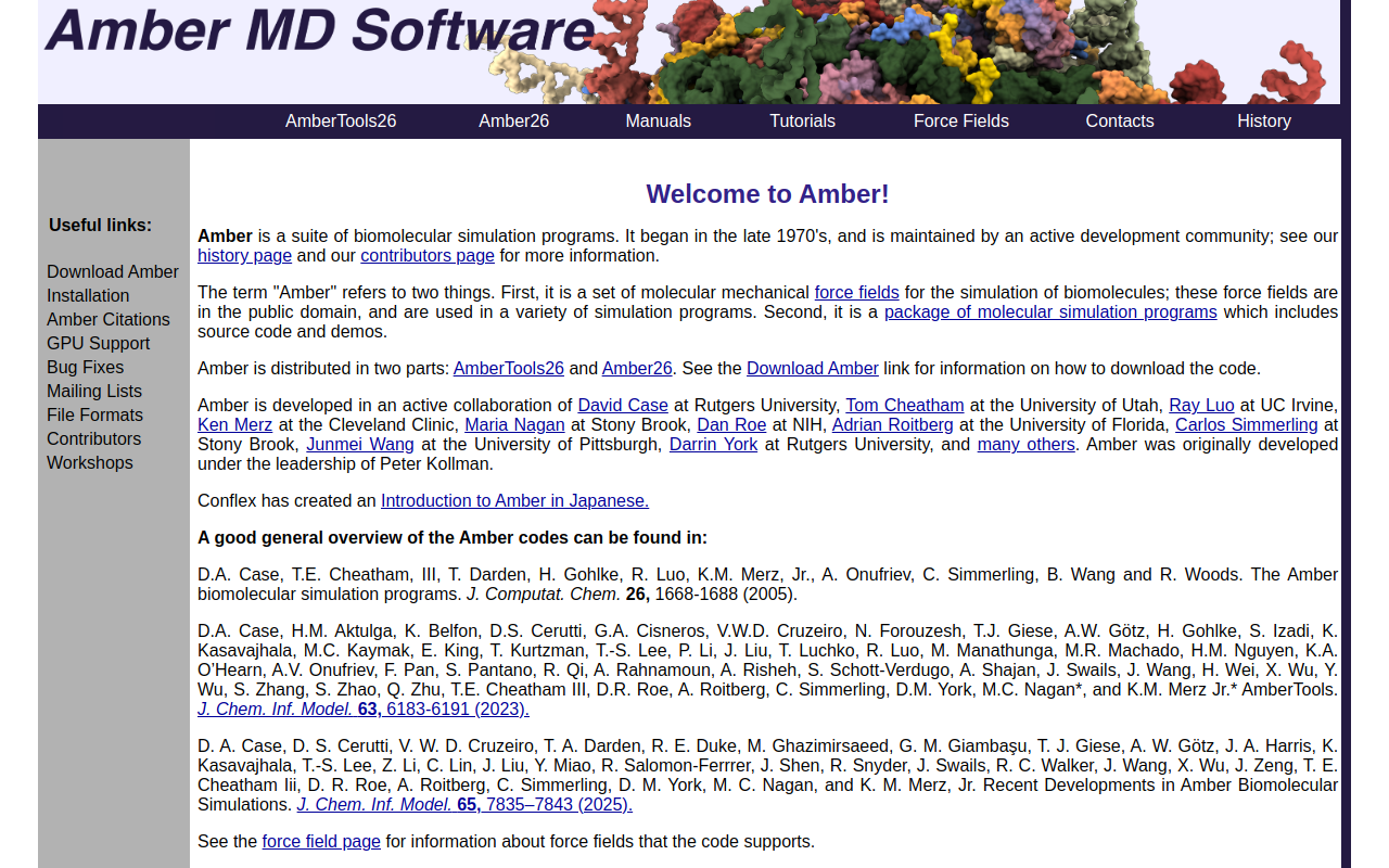 Ambers Too website preview
