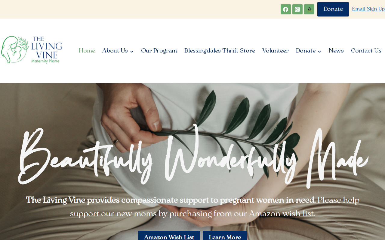 Blessingdales Thrift and Furniture Store website preview