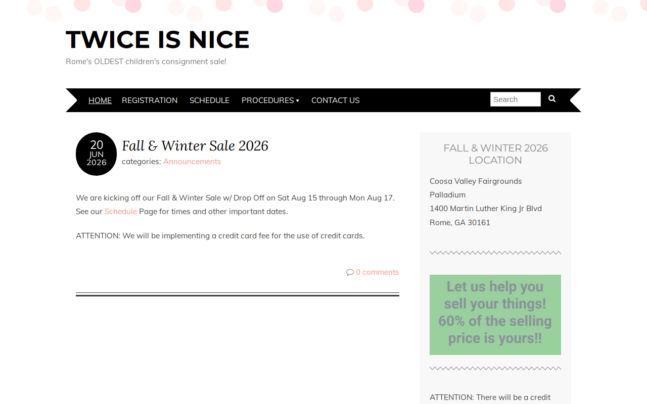 Twice is Nice website preview